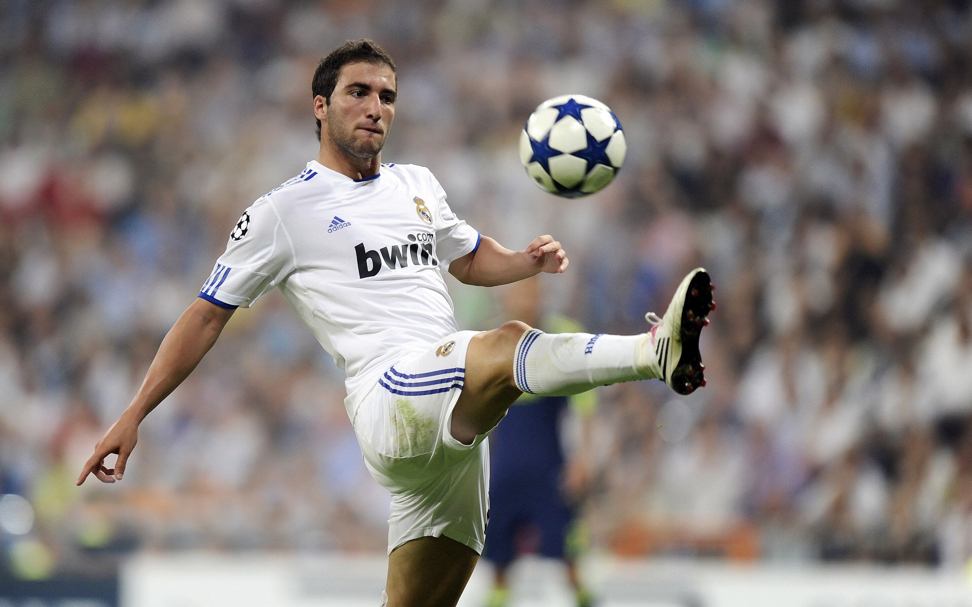 开云入口-情绪失控的指挥家与摔碎的水瓶，绿茵场上被允许的非理性，绿茵指挥家的失控独奏，当水瓶成为情绪的音符